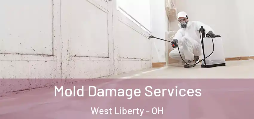  Mold Damage Services West Liberty - OH