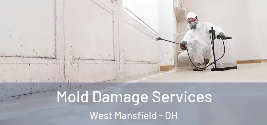 Mold Damage Services West Mansfield - OH