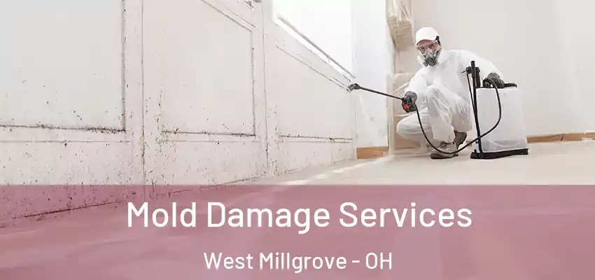  Mold Damage Services West Millgrove - OH