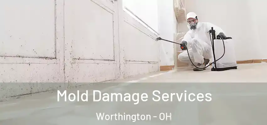  Mold Damage Services Worthington - OH