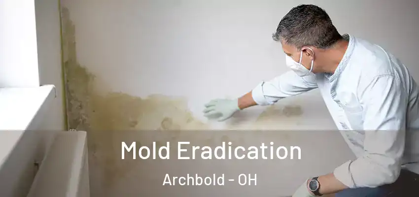 Mold Eradication Archbold - OH