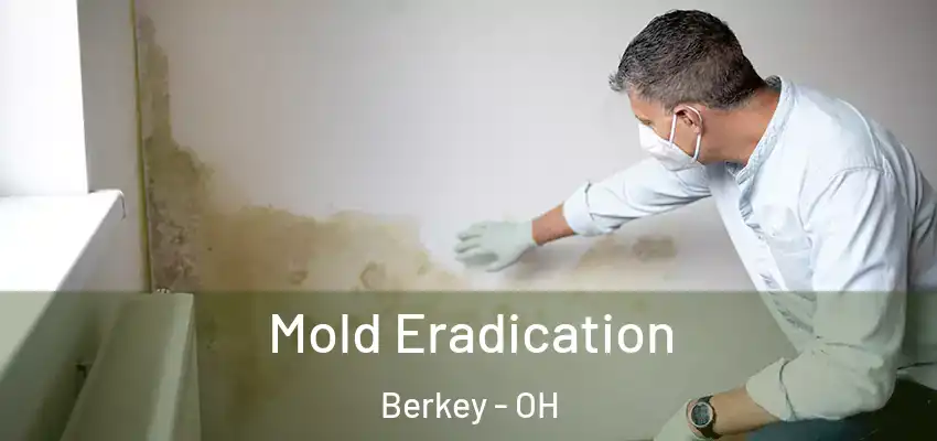 Mold Eradication Berkey - OH