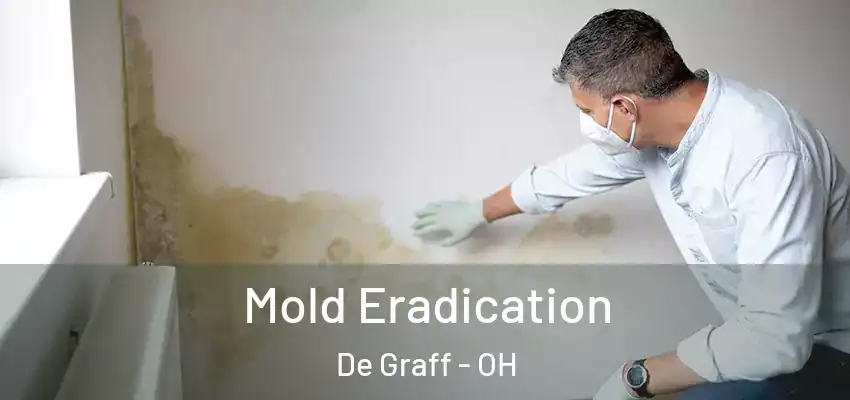  Mold Eradication De Graff - OH