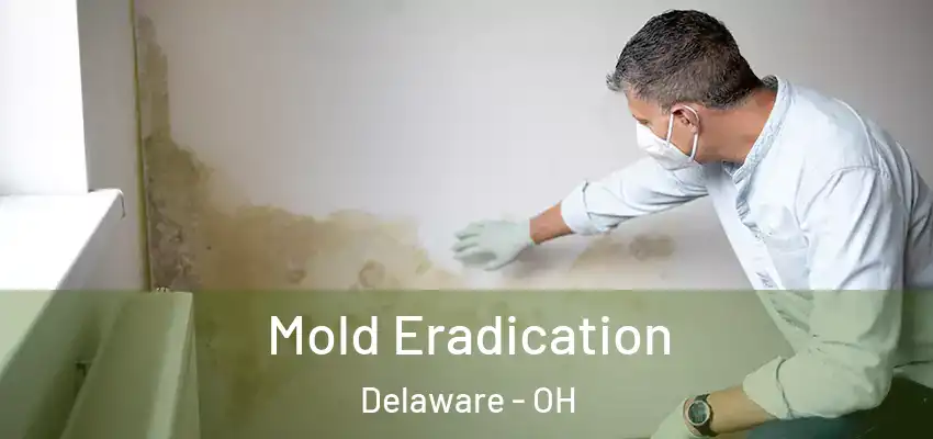  Mold Eradication Delaware - OH