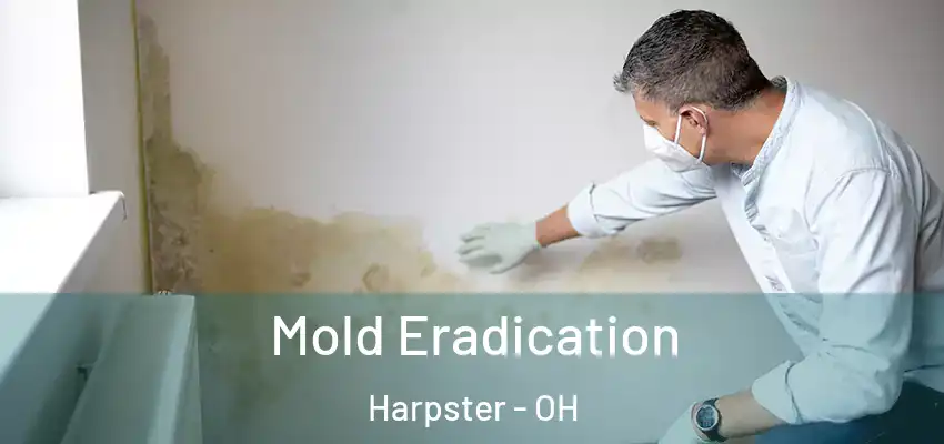  Mold Eradication Harpster - OH
