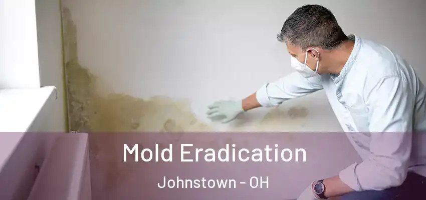  Mold Eradication Johnstown - OH