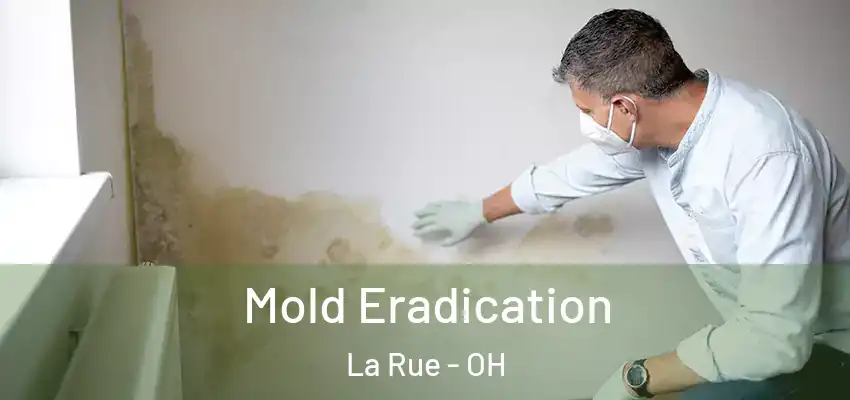 Mold Eradication La Rue - OH