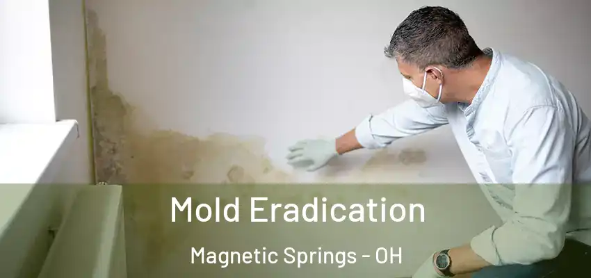  Mold Eradication Magnetic Springs - OH