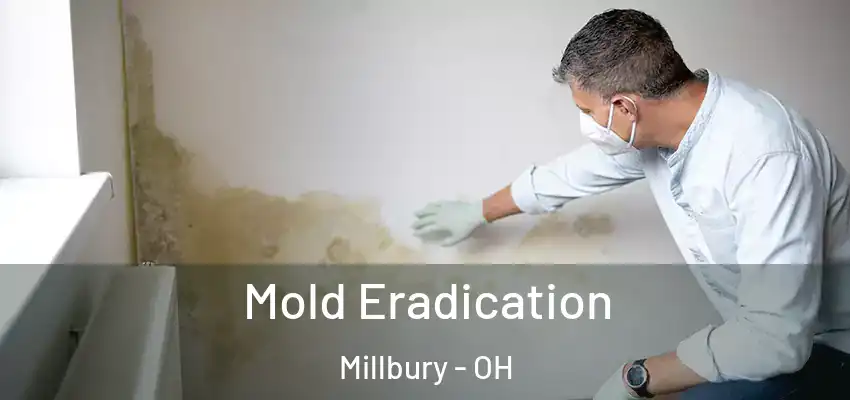 Mold Eradication Millbury - OH