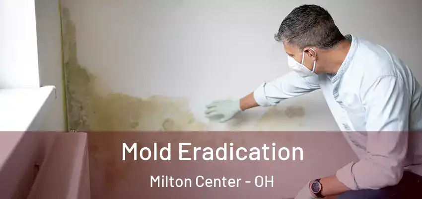 Mold Eradication Milton Center - OH