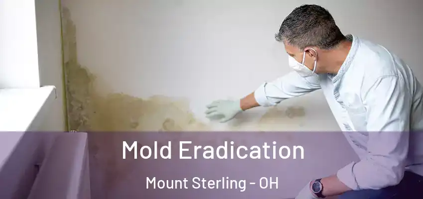 Mold Eradication Mount Sterling - OH