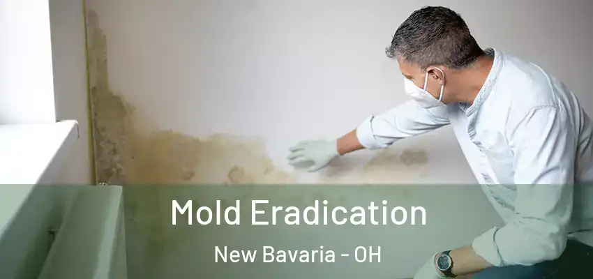  Mold Eradication New Bavaria - OH