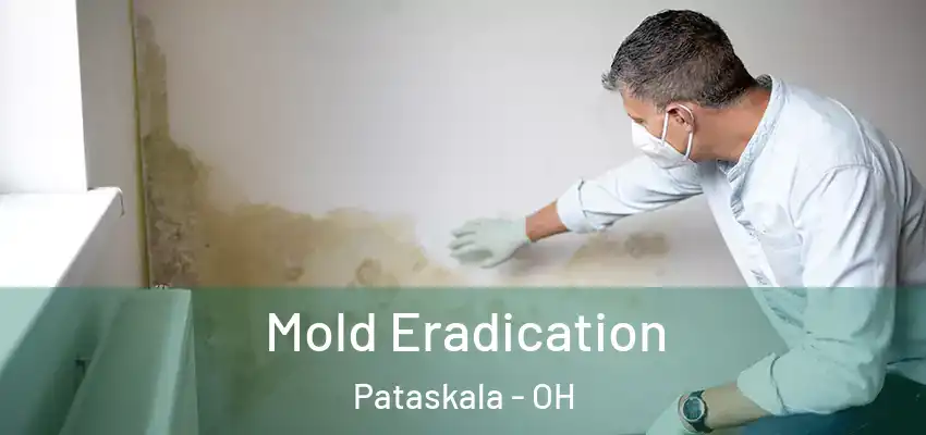 Mold Eradication Pataskala - OH