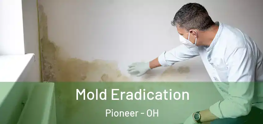  Mold Eradication Pioneer - OH