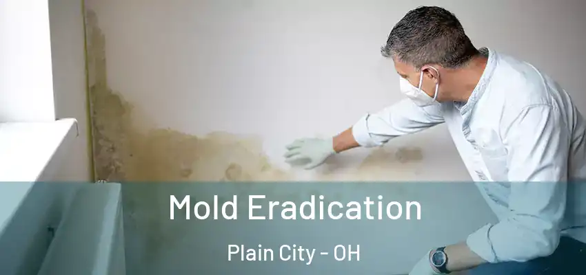 Mold Eradication Plain City - OH