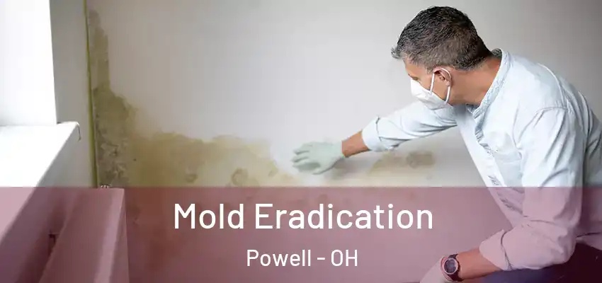  Mold Eradication Powell - OH