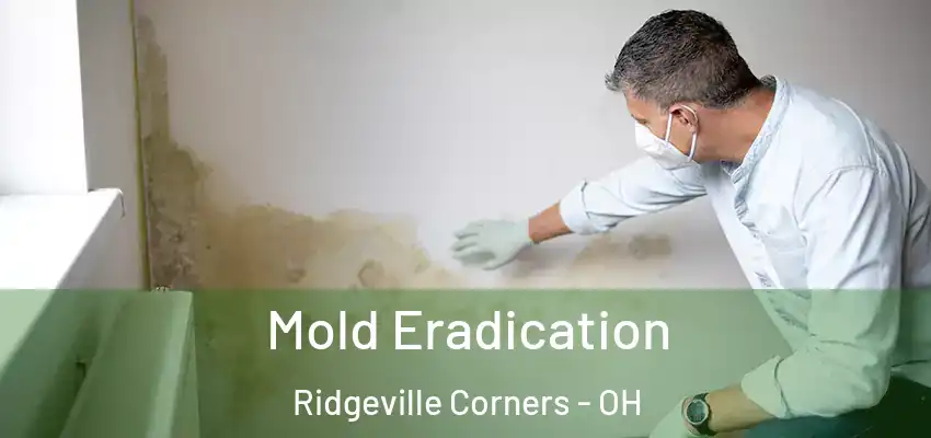  Mold Eradication Ridgeville Corners - OH