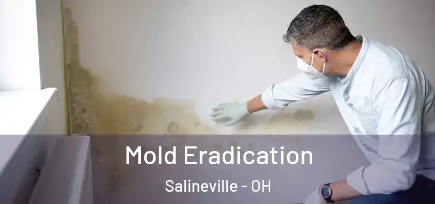  Mold Eradication Salineville - OH