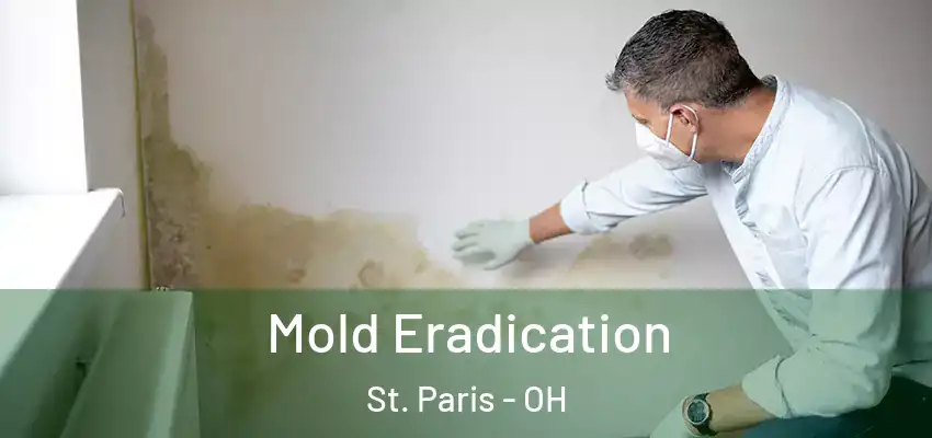  Mold Eradication St. Paris - OH
