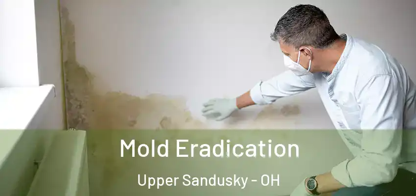  Mold Eradication Upper Sandusky - OH