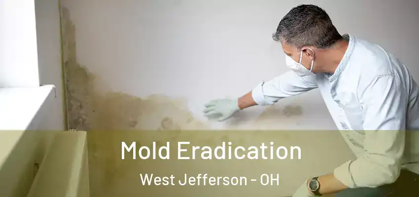 Mold Eradication West Jefferson - OH