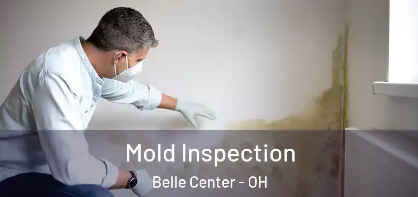  Mold Inspection Belle Center - OH