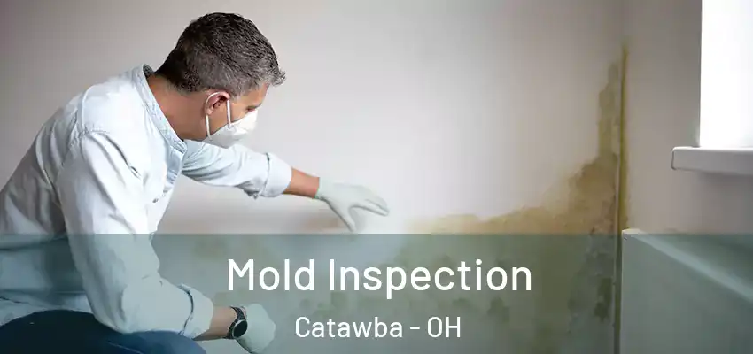  Mold Inspection Catawba - OH