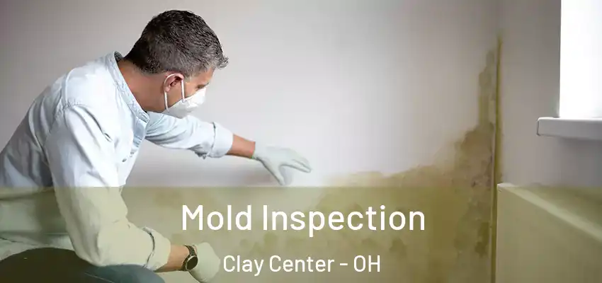  Mold Inspection Clay Center - OH