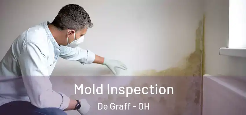  Mold Inspection De Graff - OH