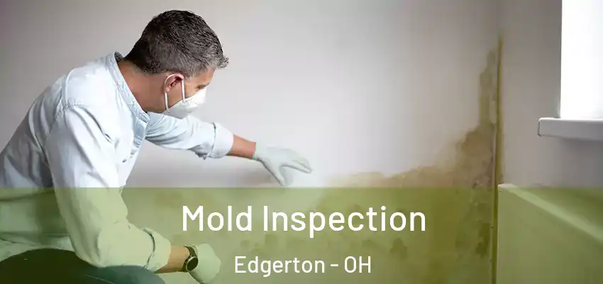  Mold Inspection Edgerton - OH