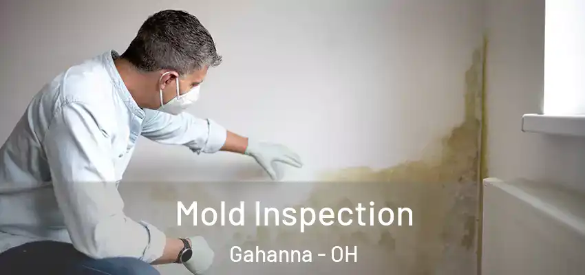 Mold Inspection Gahanna - OH