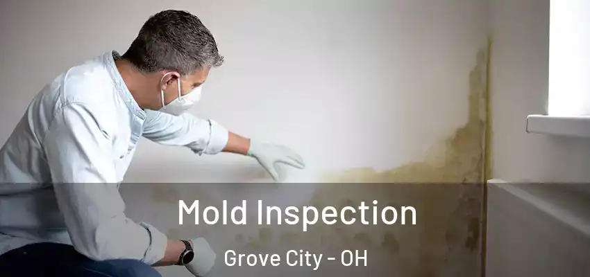 Mold Inspection Grove City - OH
