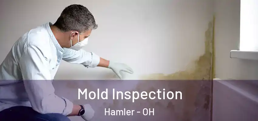  Mold Inspection Hamler - OH