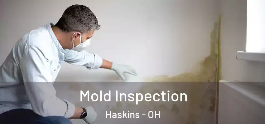 Mold Inspection Haskins - OH