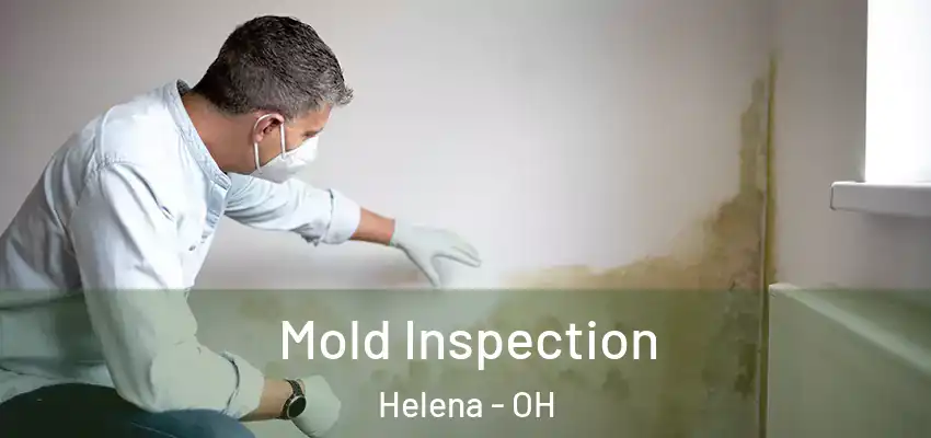Mold Inspection Helena - OH