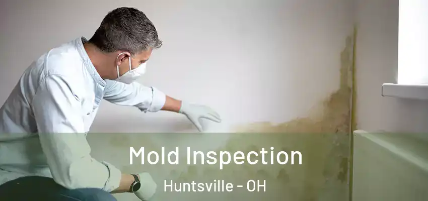  Mold Inspection Huntsville - OH