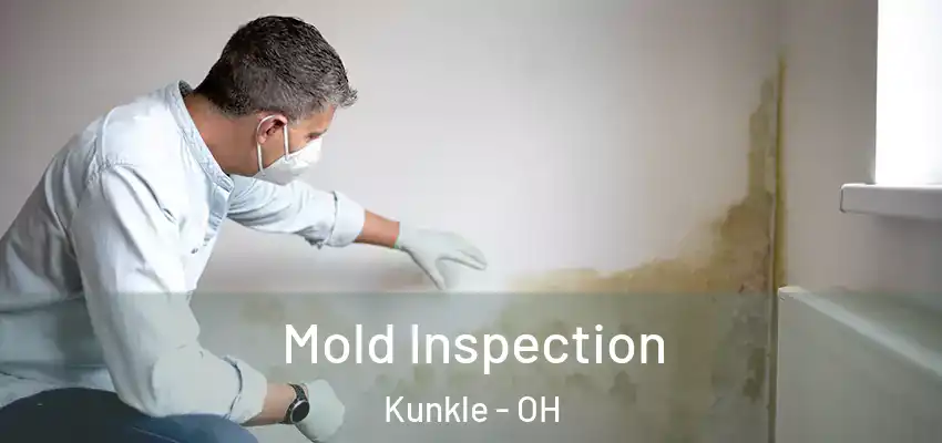  Mold Inspection Kunkle - OH