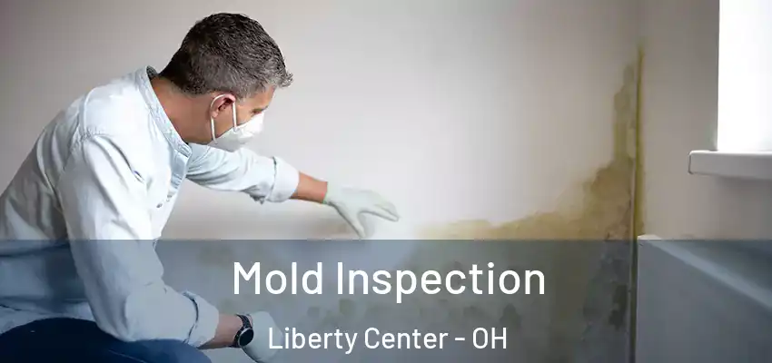  Mold Inspection Liberty Center - OH