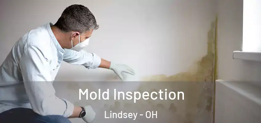 Mold Inspection Lindsey - OH