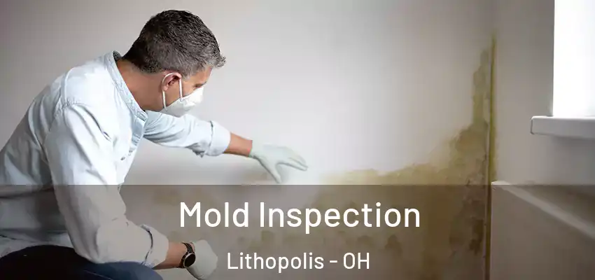  Mold Inspection Lithopolis - OH