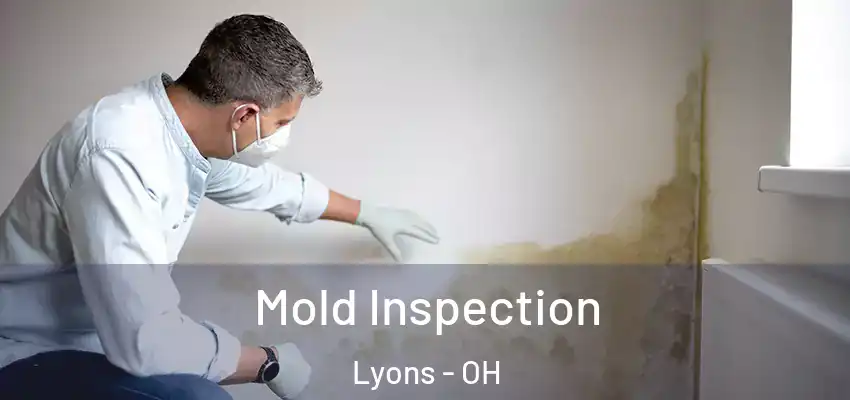  Mold Inspection Lyons - OH