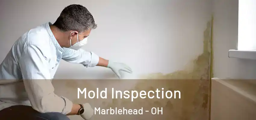 Mold Inspection Marblehead - OH