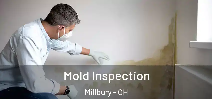 Mold Inspection Millbury - OH