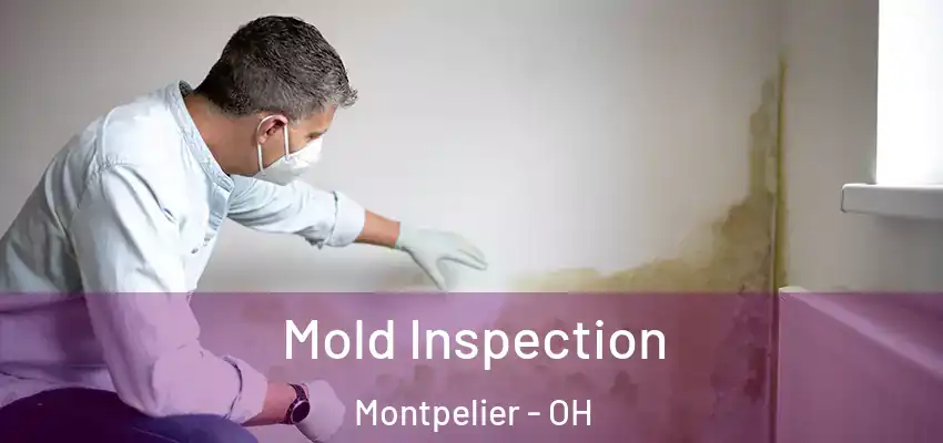  Mold Inspection Montpelier - OH