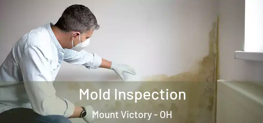  Mold Inspection Mount Victory - OH