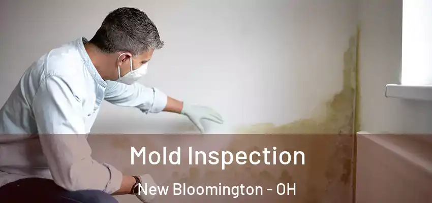  Mold Inspection New Bloomington - OH