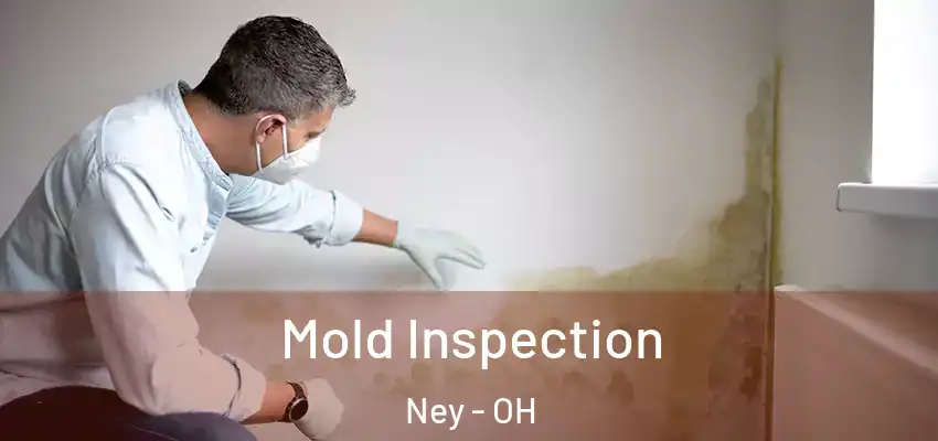 Mold Inspection Ney - OH