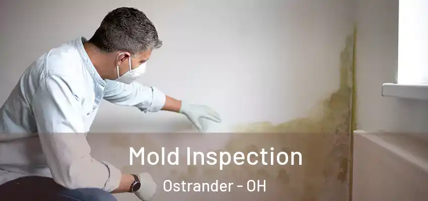  Mold Inspection Ostrander - OH