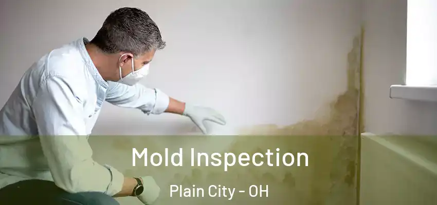  Mold Inspection Plain City - OH