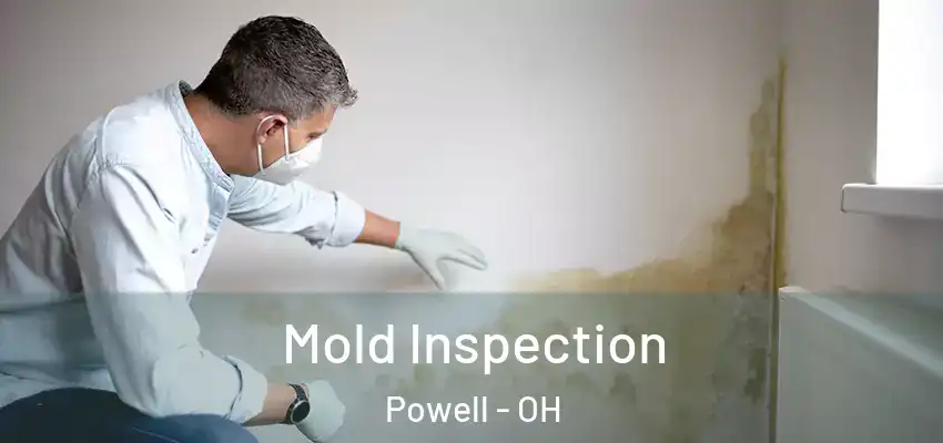 Mold Inspection Powell - OH